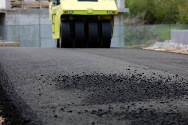 Best Decorative Driveway Pavers  in Minneola, FL