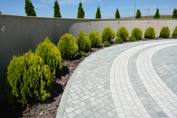 Best Driveway Paving Contractor  in Minneola, FL